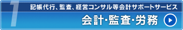 会計・監査・労務｜記帳代行、監査、経営コンサル等会計サポートサービス