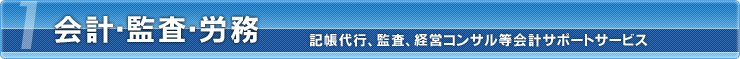 会計・監査・労務:記帳代行、監査、経営コンサル等会計サポートサービス